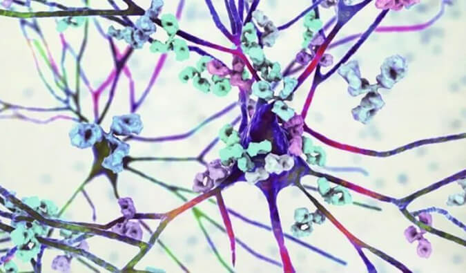 旋乐吧spin8镇痛药效评价模子