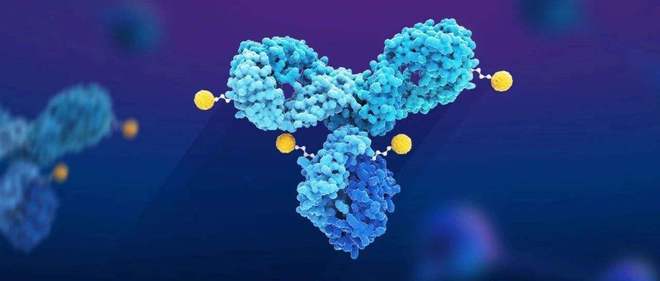 天下肿瘤日聚焦：AACR年会引领全球肿瘤新药趋势，，，，，，，国产药引领风潮