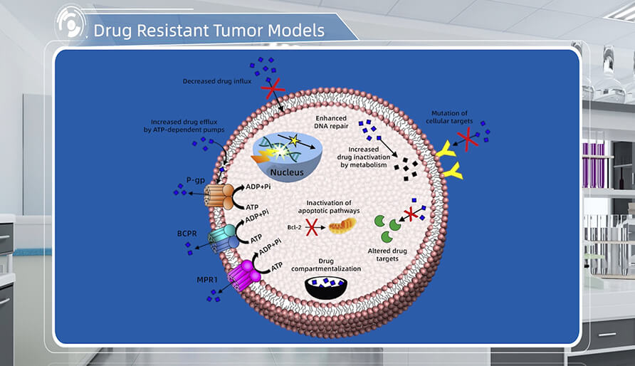 肿瘤耐药机制是什么？？？？？？？