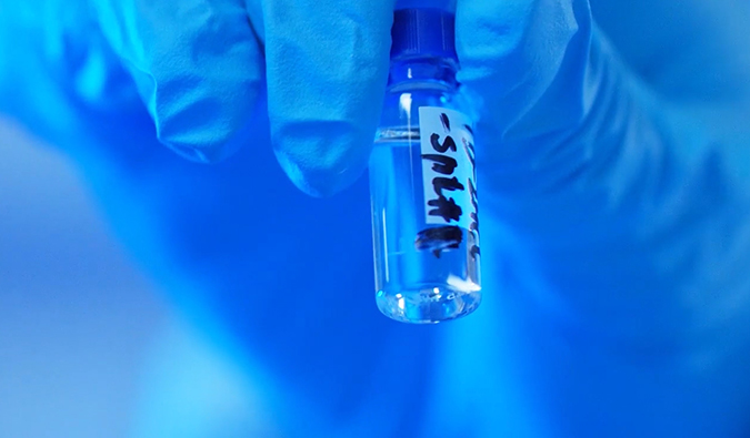 GLP-1“竞速赛”何以夺魁？？？？？