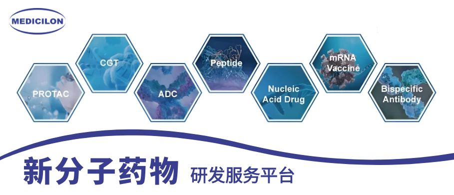 旋乐吧spin8新分子药物研发效劳平台