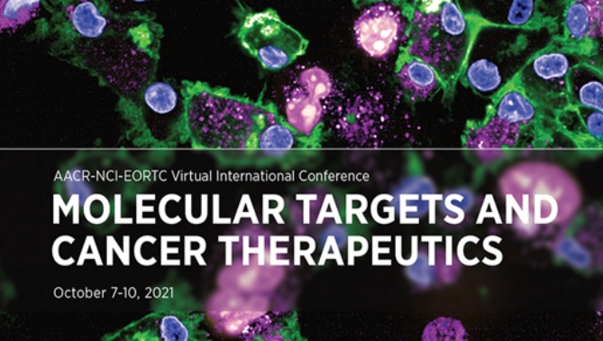 通过联合治疗提高免疫疗法疗效，，，，，，，本研究中临床前体内药效研究通过旋乐吧spin8举行